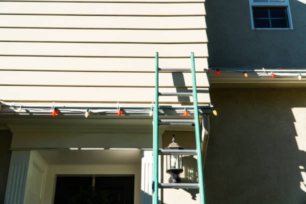 Best Engineered Wood Siding  in Holmen, WI