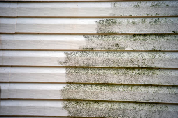 Best Siding for New Construction  in Holmen, WI