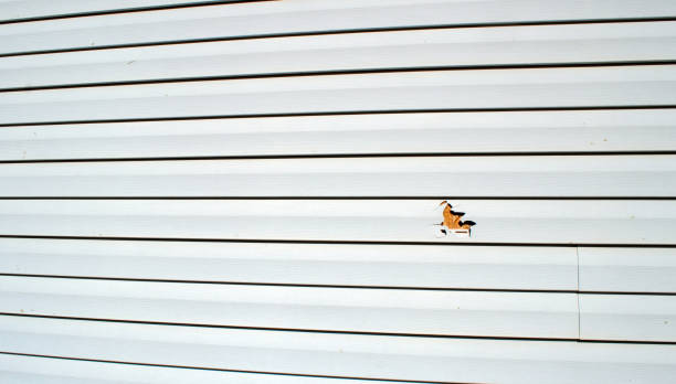 Best Composite Siding  in Holmen, WI