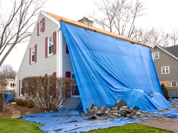 Affordable siding repair and maintenance services in Holmen, WI