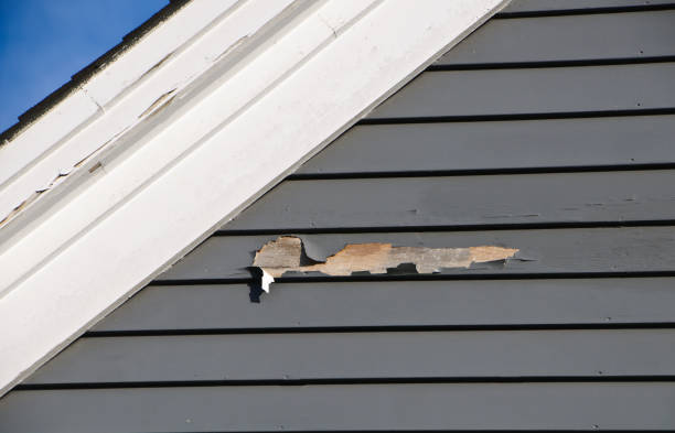 Holmen, WI Siding Installation & Repair Company