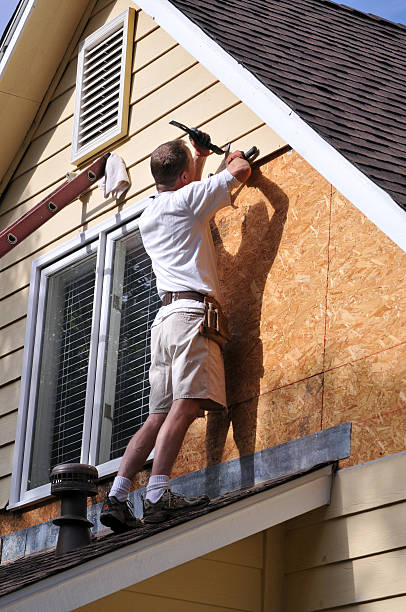 Best Insulated Siding Installation  in Holmen, WI